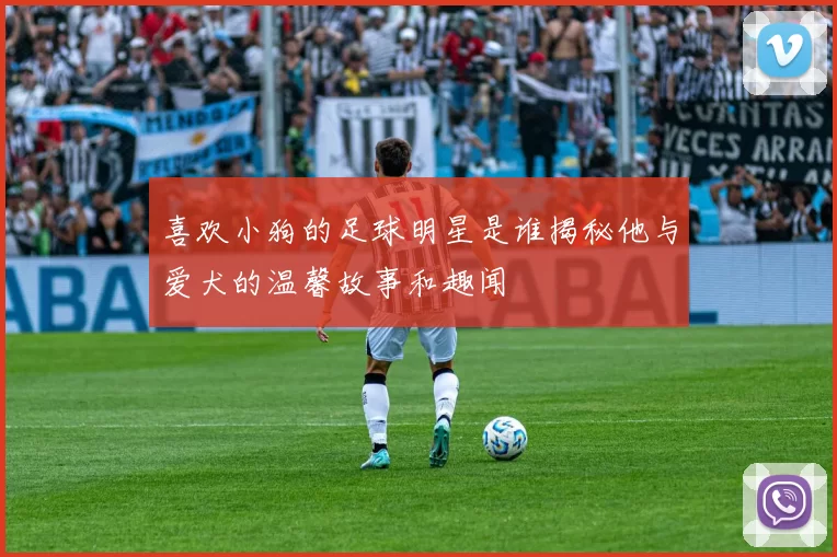 喜欢小狗的足球明星是谁揭秘他与爱犬的温馨故事和趣闻