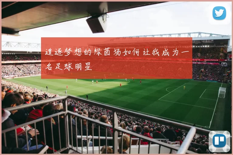 追逐梦想的绿茵场如何让我成为一名足球明星