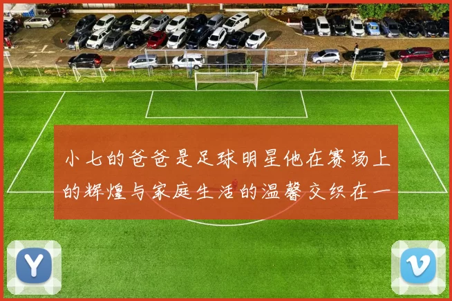 小七的爸爸是足球明星他在赛场上的辉煌与家庭生活的温馨交织在一起