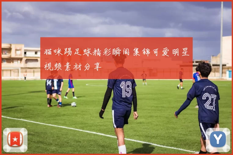 猫咪踢足球精彩瞬间集锦可爱明星视频素材分享